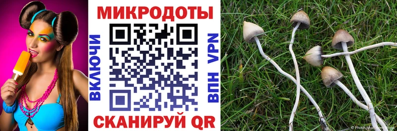 Псилоцибиновые грибы GOLDEN TEACHER  нарко площадка клад  мега вход  Лениногорск  сколько стоит 